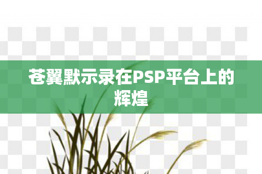 苍翼默示录在PSP平台上的辉煌