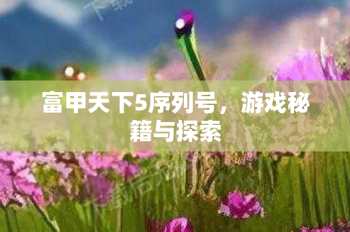 富甲天下5序列号，游戏秘籍与探索