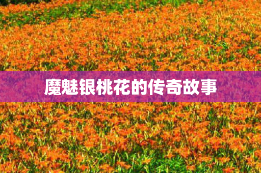 魔魅银桃花的传奇故事