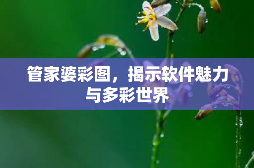 管家婆彩图，揭示软件魅力与多彩世界