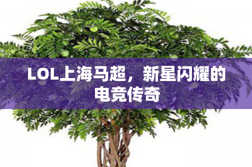 LOL上海马超，新星闪耀的电竞传奇