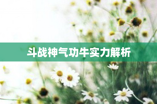 斗战神气功牛实力解析