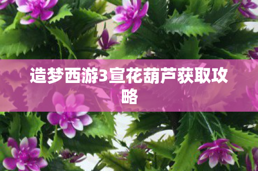 造梦西游3宣花葫芦获取攻略