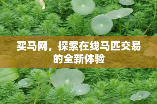 买马网，探索在线马匹交易的全新体验