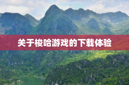 关于梭哈游戏的下载体验