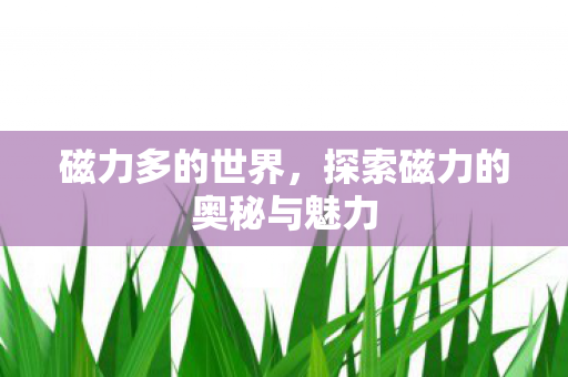 磁力多的世界，探索磁力的奥秘与魅力