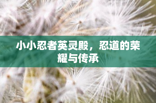 小小忍者英灵殿，忍道的荣耀与传承