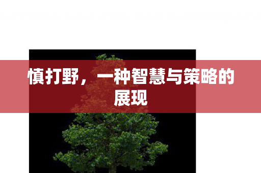 慎打野，一种智慧与策略的展现