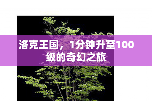 洛克王国，1分钟升至100级的奇幻之旅