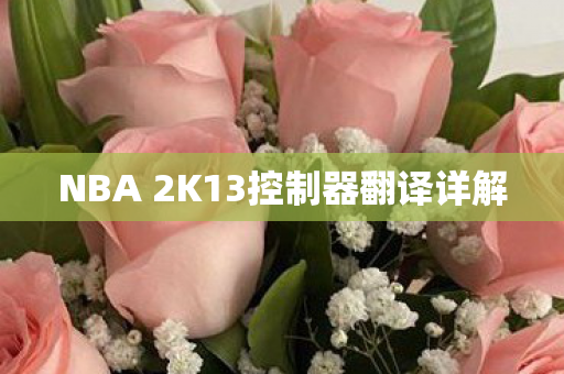 NBA 2K13控制器翻译详解