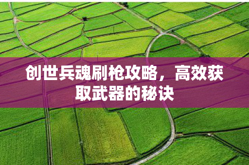 创世兵魂刷枪攻略，高效获取武器的秘诀