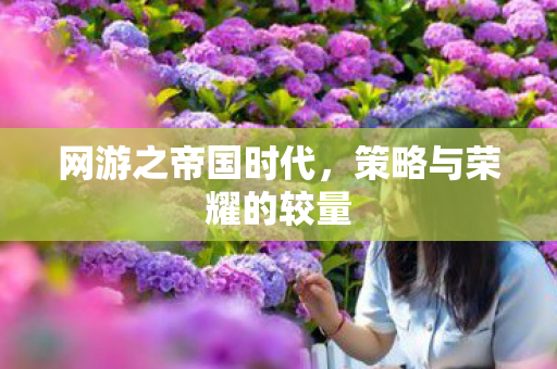 网游之帝国时代，策略与荣耀的较量