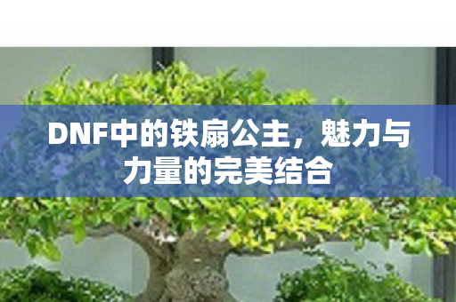 DNF中的铁扇公主，魅力与力量的完美结合