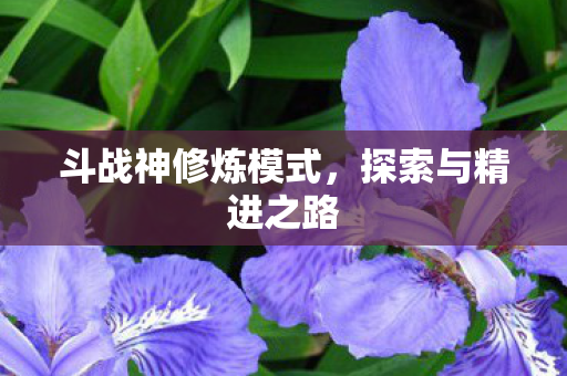 斗战神修炼模式，探索与精进之路