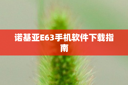 诺基亚E63手机软件下载指南