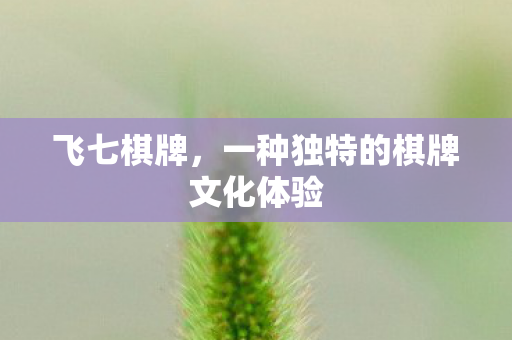 飞七棋牌，一种独特的棋牌文化体验