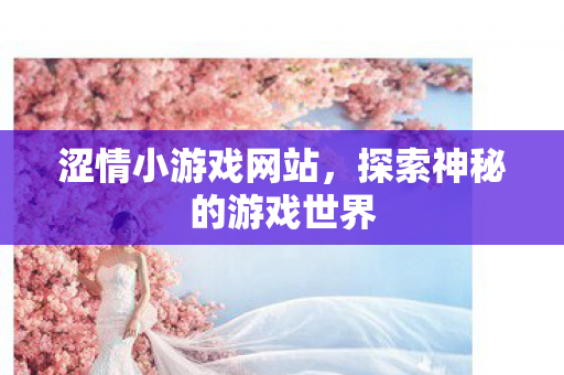 涩情小游戏网站，探索神秘的游戏世界