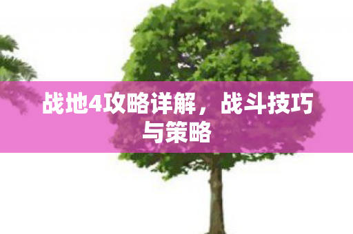 战地4攻略详解，战斗技巧与策略
