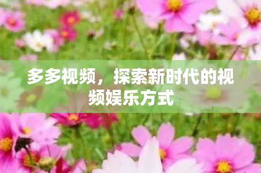 多多视频，探索新时代的视频娱乐方式