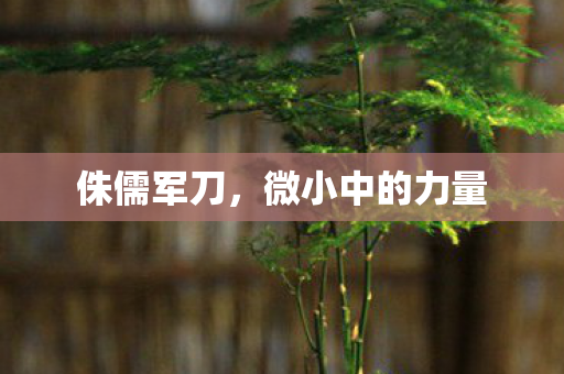 侏儒军刀，微小中的力量