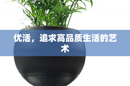 优活，追求高品质生活的艺术