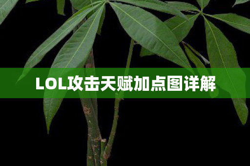 LOL攻击天赋加点图详解