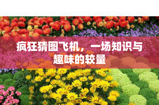 疯狂猜图飞机，一场知识与趣味的较量