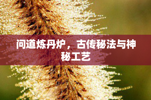 问道炼丹炉，古传秘法与神秘工艺