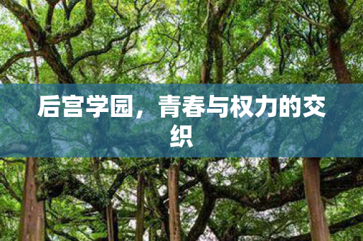 后宫学园，青春与权力的交织