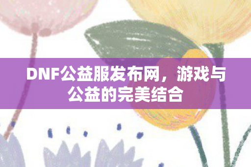 DNF公益服发布网，游戏与公益的完美结合