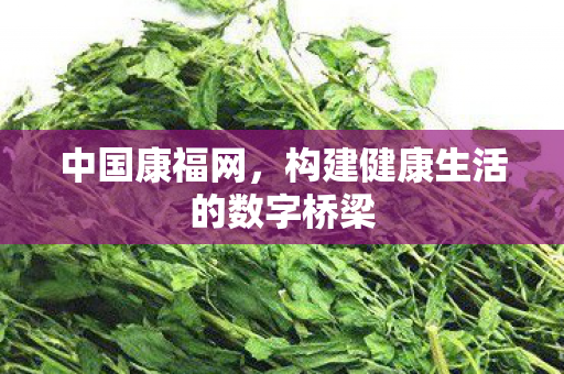 中国康福网，构建健康生活的数字桥梁