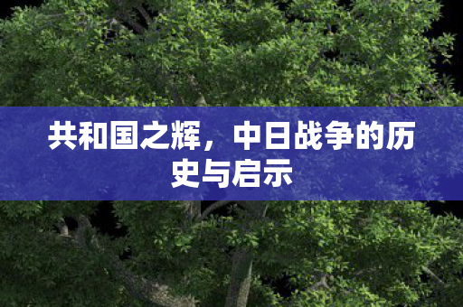 共和国之辉，中日战争的历史与启示