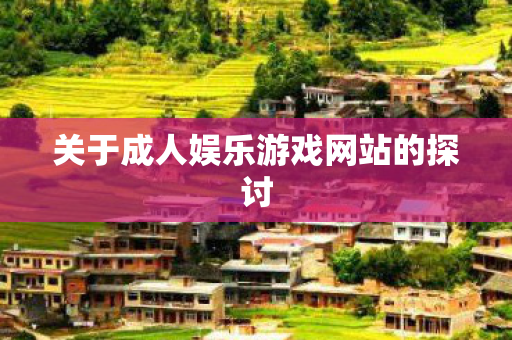关于成人娱乐游戏网站的探讨