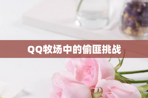 QQ牧场中的偷匪挑战