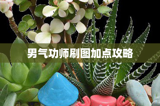 男气功师刷图加点攻略