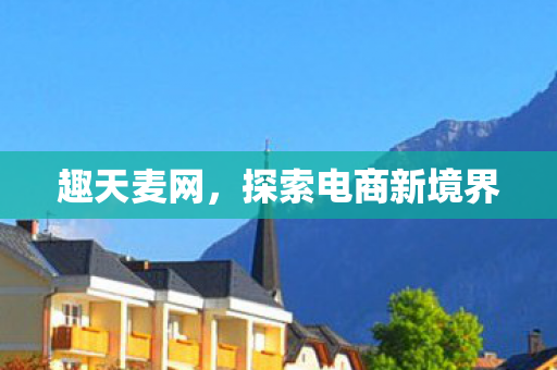 趣天麦网，探索电商新境界