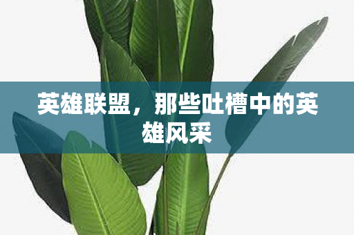 英雄联盟，那些吐槽中的英雄风采