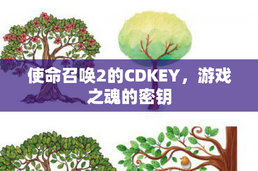 使命召唤2的CDKEY，游戏之魂的密钥