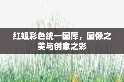 红姐彩色统一图库，图像之美与创意之彩