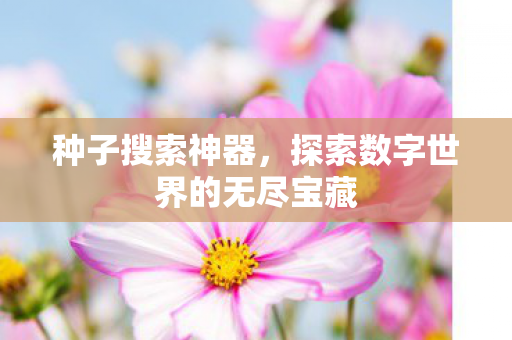 种子搜索神器，探索数字世界的无尽宝藏