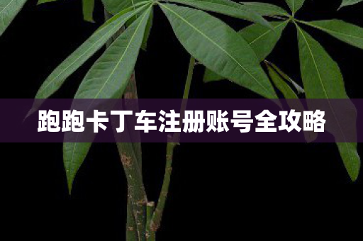 跑跑卡丁车注册账号全攻略