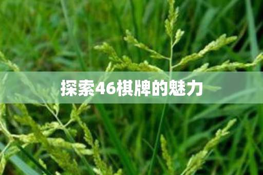 探索46棋牌的魅力