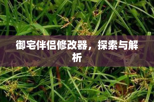 御宅伴侣修改器，探索与解析