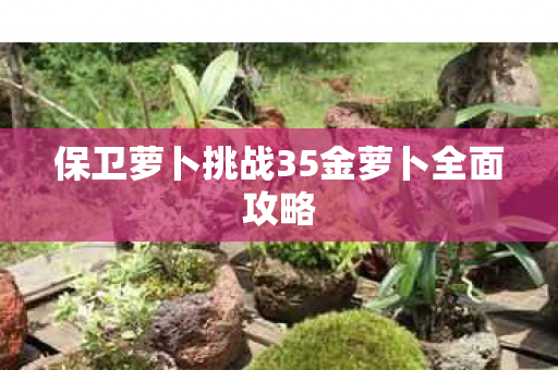 保卫萝卜挑战35金萝卜全面攻略