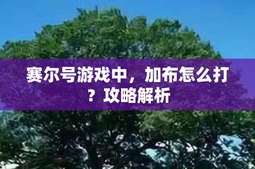 赛尔号游戏中，加布怎么打？攻略解析