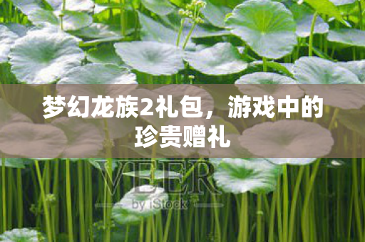 梦幻龙族2礼包，游戏中的珍贵赠礼