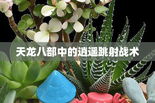 天龙八部中的逍遥跳射战术