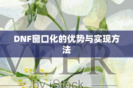 DNF窗口化的优势与实现方法