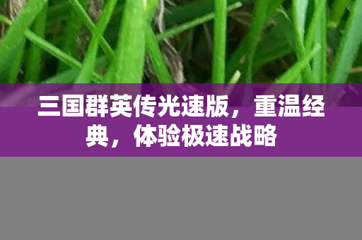 三国群英传光速版，重温经典，体验极速战略