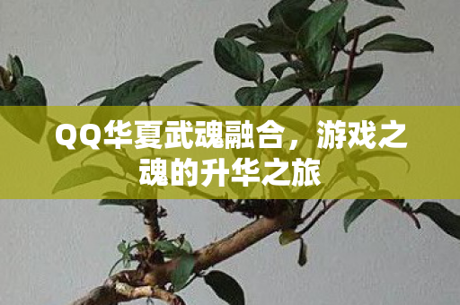 QQ华夏武魂融合，游戏之魂的升华之旅